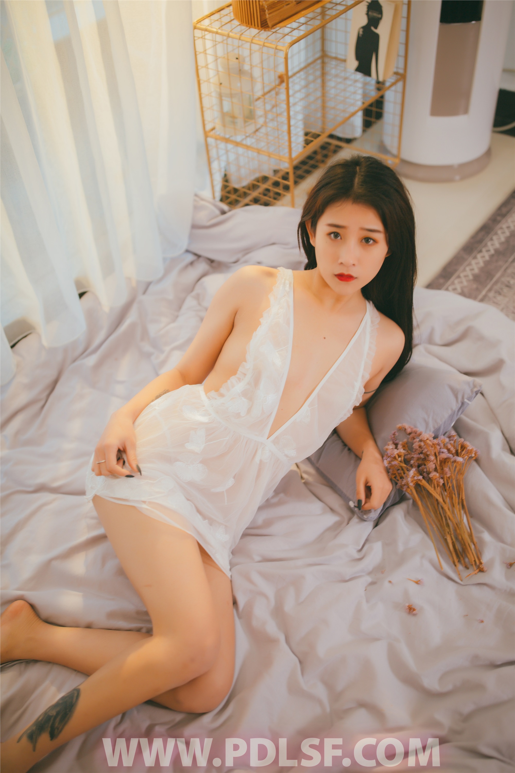 PDL潘多拉 2019.12.26 专辑No.258